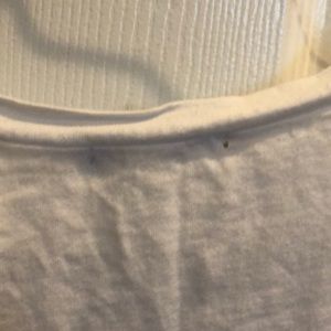 Charlotte russe , small California graphic t shirt